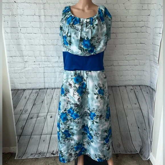 Floral Blue & Green Long Sleeveless Flower Dress size XL - Picture 1 of 15